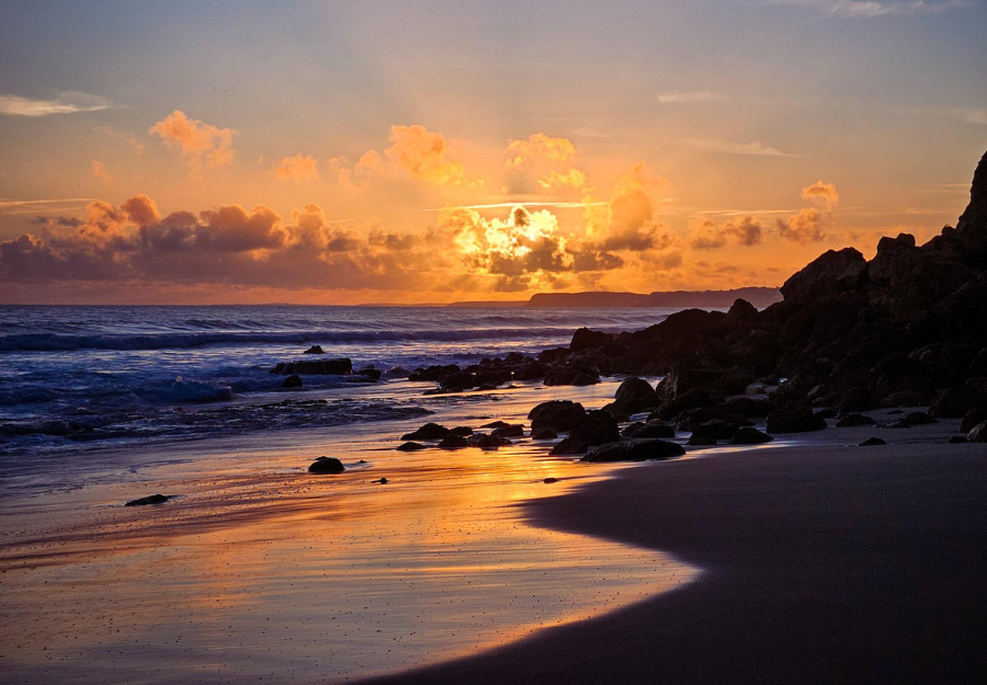 Budapesti Corvinus Egyetem